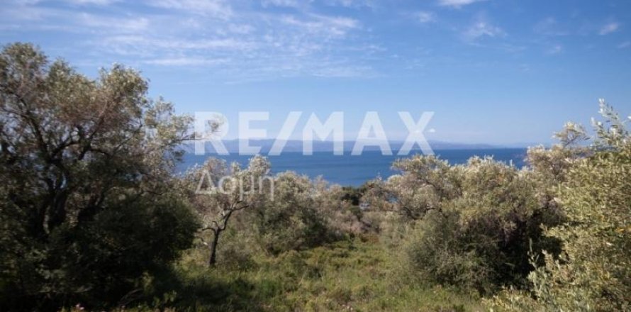 4050m² Land en Skiathos, Greece No. 27963