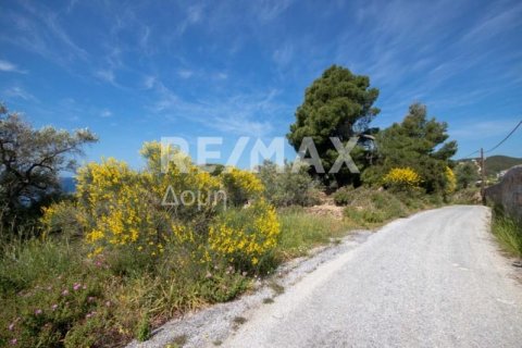 4050m² Land in Skiathos, Greece No. 27963 8