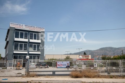 1261m² Building in Magnesia, Greece No. 27956 10