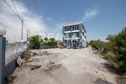 1261m² Building in Magnesia, Greece No. 27956 4