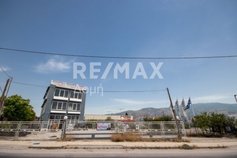 1261m² Building in Magnesia, Greece No. 27956 5