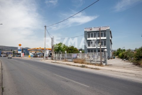 1261m² Building in Magnesia, Greece No. 27956 13