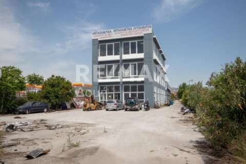 1261m² Building in Magnesia, Greece No. 27956 2