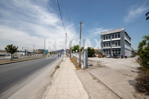 1261m² Building in Magnesia, Greece No. 27956 1