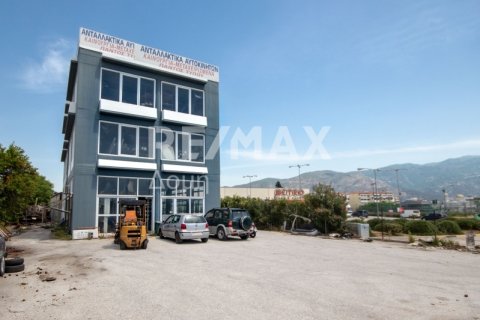 1261m² Building in Magnesia, Greece No. 27956 3