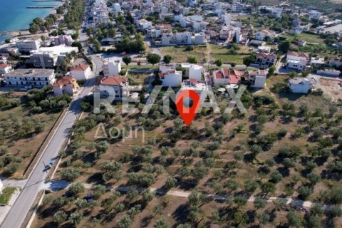 1102m² Land in Volos, Greece No. 27964 6