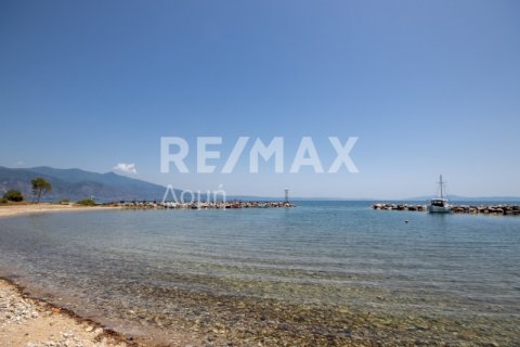 1102m² Land in Volos, Greece No. 27964 16