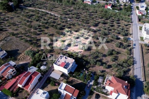 1102m² Land in Volos, Greece No. 27964 12