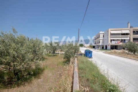 1102m² Land in Volos, Greece No. 27964 25