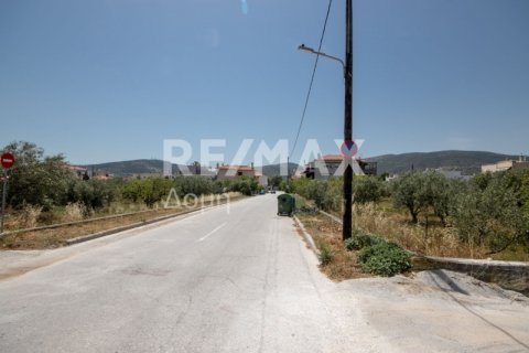 1102m² Land in Volos, Greece No. 27964 18