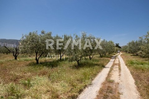 1102m² Land in Volos, Greece No. 27964 20