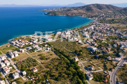 1102m² Land in Volos, Greece No. 27964 11