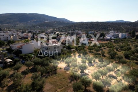 1102m² Land in Volos, Greece No. 27964 5