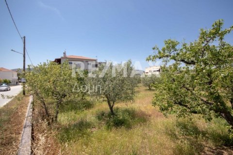 1102m² Land in Volos, Greece No. 27964 24