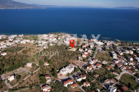 1102m² Land in Volos, Greece No. 27964 4