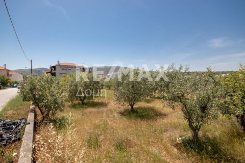 1102m² Land in Volos, Greece No. 27964 22