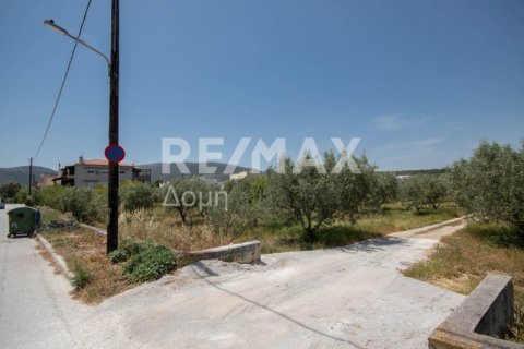 1102m² Land in Volos, Greece No. 27964 21