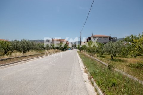 1102m² Land in Volos, Greece No. 27964 23