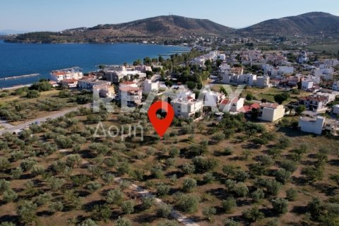 1102m² Land in Volos, Greece No. 27964 9