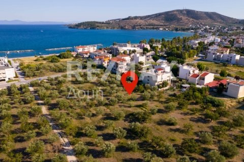 1102m² Land in Volos, Greece No. 27964 14