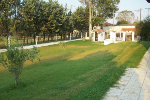 6 dormitorios House en Chalkidiki, Greece No. 57607 4