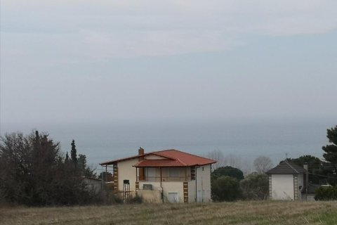 8000m² Land in Chalkidiki, Greece No. 57608 4