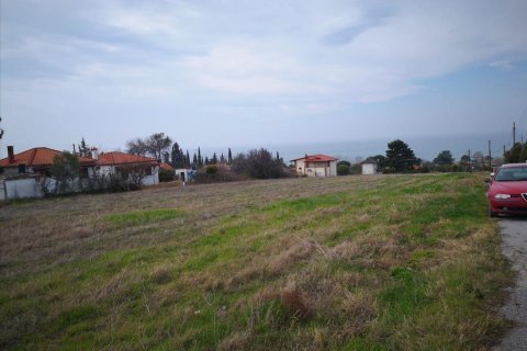 8000m² Land in Chalkidiki, Greece No. 57608 5