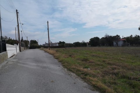 8000m² Land in Chalkidiki, Greece No. 57608 2