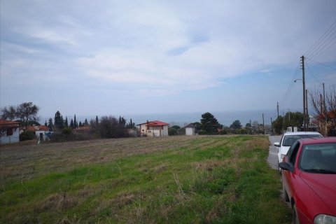 8000m² Land à Chalkidiki, Greece No. 57608 3