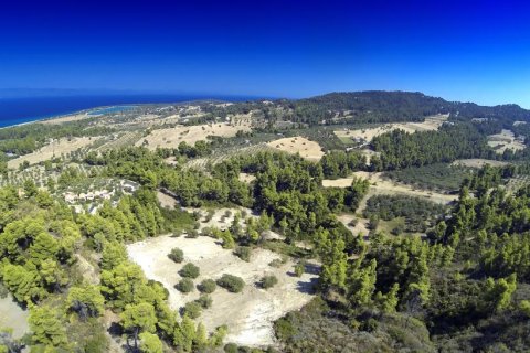 12000m² Land in Chalkidiki, Greece No. 57605 1