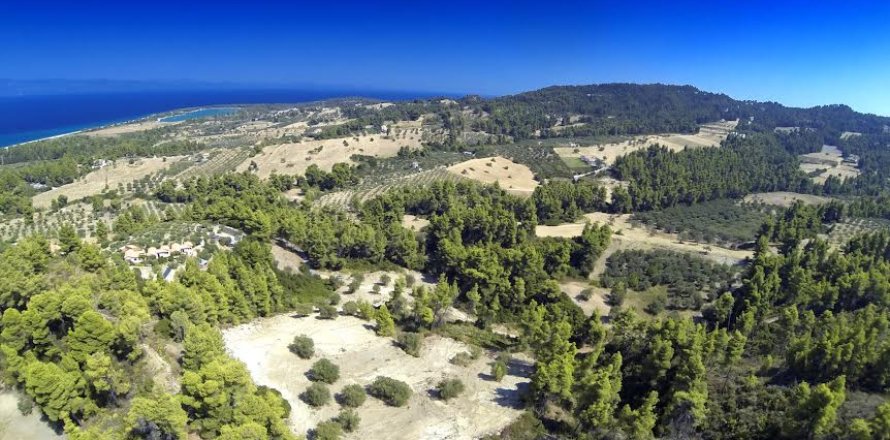 12000m² Land en Chalkidiki, Greece No. 57605