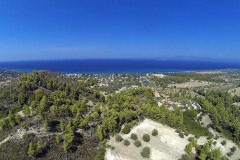 12000m² Land à Chalkidiki, Greece No. 57605 6