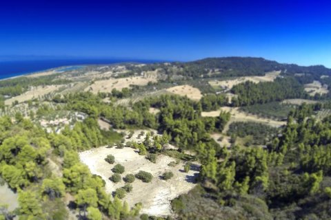 12000m² Land en Chalkidiki, Greece No. 57605 2