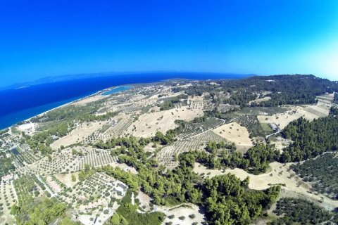 12000m² Land in Chalkidiki, Greece No. 57605 3