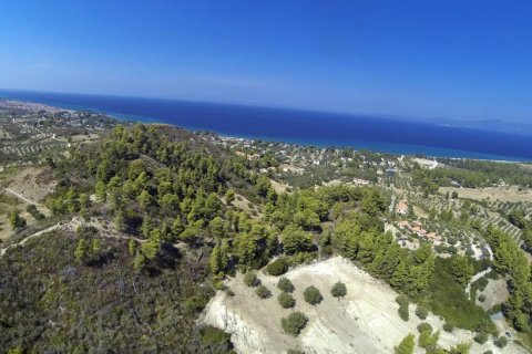 12000m² Land à Chalkidiki, Greece No. 57605 5