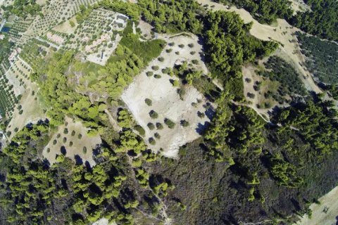 12000m² Land in Chalkidiki, Greece No. 57605 4