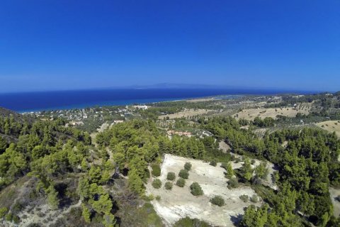 12000m² Land en Chalkidiki, Greece No. 57605 7