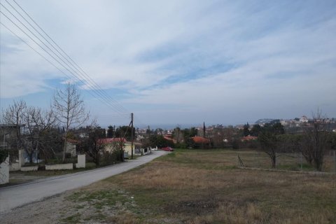 5000m² Land à Chalkidiki, Greece No. 57604 4