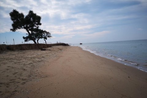 5000m² Land in Chalkidiki, Greece No. 57604 1