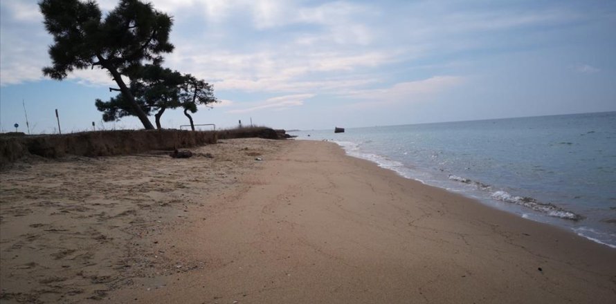 5000m² Land in Chalkidiki, Greece No. 57604