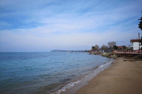 5000m² Land in Chalkidiki, Greece No. 57604 2