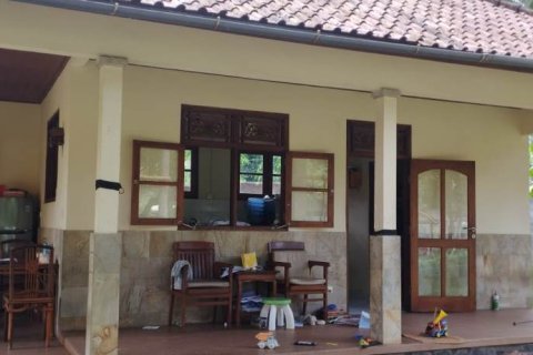 2 bedrooms Villa in Singaraja, Indonesia No. 23422 11