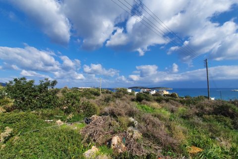 4809m² Land in Agios Nikolaos, Greece No. 56650 3