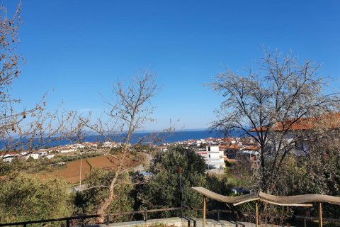 260m² Negocio en Chalkidiki, Greece No. 56682 8