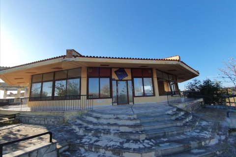 260m² Business in Chalkidiki, Greece No. 56682 1