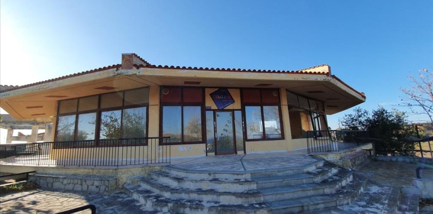 260m² Business in Chalkidiki, Greece No. 56682