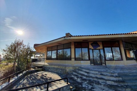 260m² Negocio en Chalkidiki, Greece No. 56682 5