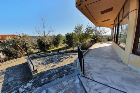 260m² Negocio en Chalkidiki, Greece No. 56682 10