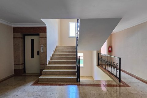 2+1 Appartement à Oba, Turkey No. 15165 11