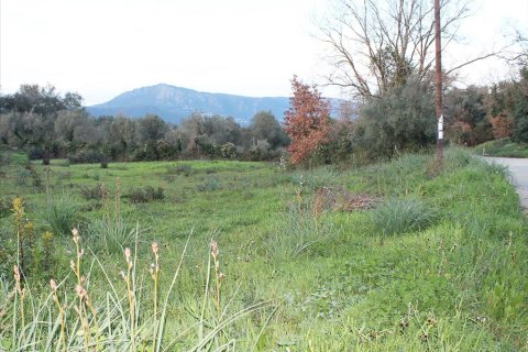 5700m² Land in Corfu, Greece No. 60510 3